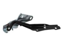 Mopar 55372574AD Hinge, Front Passenger Side