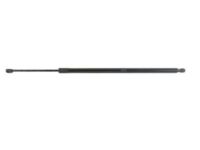 Mopar 68165051AE Lift Cylinder, Driver Side