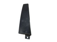 Mopar 4806308AA Applique Rear Door