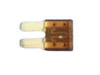 Mopar 68202832AB Mini Fuse, Front