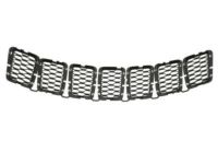 Mopar 68317863AA Grille, Black, Front