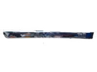 Mopar 55079308AD Molding Rear Door