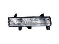 Mopar 55112721AB Signal Lamp, Front Driver Side