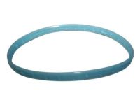 Mopar 4666113AA Gasket