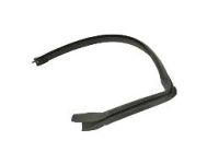 Mopar 68096357AC Weatherstrip Front Door Opening Glass Running