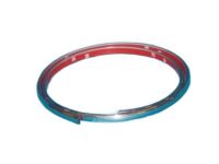 Mopar 4630423 Insert Strip
