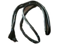 Mopar 4878788AA Weatherstrip, Rear