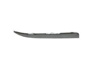 Mopar 5113731AB Trim Molding, Rear Driver Side