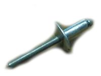 Mopar 6509710AA Washer Reservoir Rivet