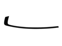 Mopar 57010507AJ Molding Day Light Opening Rear Door