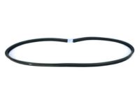 Mopar 68184799AA Weatherstrip Liftgate Opening