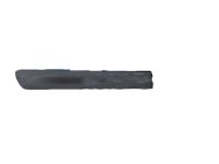 Mopar 5GF30HS5AC Molding Rear Door