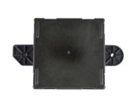 Mopar 68316560AB Module Door