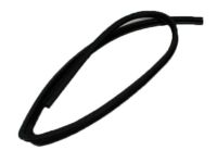 Mopar 55276181AD Seal Glass Running Front