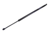 Mopar 68089034AD Lift Cylinder, Passenger Side