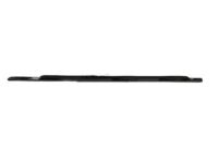 Mopar 4806060AE Belt Molding, Front Passenger Side