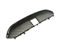 Mopar 68259199AA Lower Grille, Front