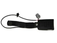 Mopar 1AN171X9AE Buckle End, Black, Front Driver Side