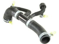 Mopar 68184897AD Lower Hose