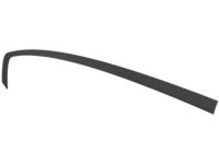 Mopar 57010506AM Molding Day Light Opening Rear Door