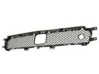 Mopar 68311030AA Lower Grille, Front