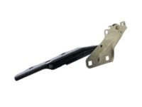 Mopar 68294807AB Hinge, Front Driver Side