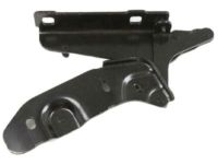 Mopar 68096399AA Hinge, Front Driver Side