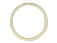 Mopar 5125905AA Tensioner O-Ring