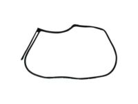 Mopar 68291603AD Weatherstrip Front Door Mounted