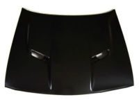 Mopar 68259670AA Hood, Front