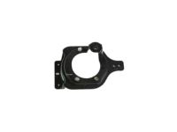 Mopar 68293713AA Lamp Bracket, Driver Side