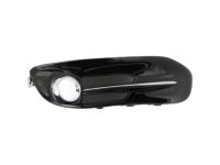 Mopar 68163975AB Lamp Cover, Front Driver Side