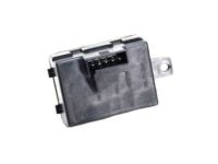 Mopar 68089096AA Control Module, Rear