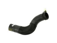 Mopar 68359639AC Lower Hose