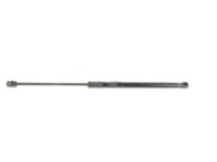 Mopar 68269468AA Lift Cylinder