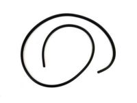 Mopar 55346790AJ Weatherstrip Front Door Secondary