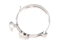 Mopar 68138725AA Clamp Hose