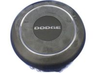 Mopar 1RV69DX9AC Driver Inflator Module, Driver Side