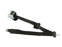 Mopar 1SY99DX9AC Outer Belt, Rear Driver Side