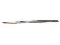 Mopar 5182600AB Molding Sliding Door