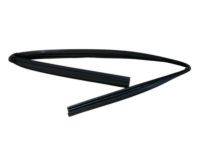 Mopar 55399191AG Weatherstrip Front Door Glass Running