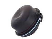 Mopar MN142066 Socket Cover