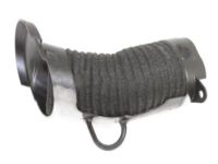 Mopar 68024411AA Air Hose, Front