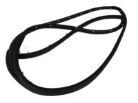 Mopar 5076867AD Door Weatherstrip, Front Outer Driver Side
