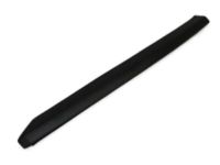 Mopar YS46RXFAD Side Molding, Front Passenger Side