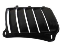 Mopar 68260187AA Bezel Hood