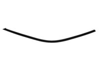 Mopar 57010504AE Molding Front Door