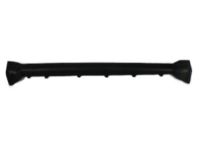 Mopar 1AW18RXFAA Molding Sill