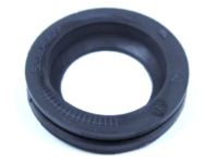Mopar 52090496AA Fuel Pocket, Rear