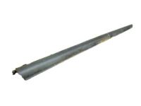 Mopar 5GU03DX9AB Molding Sill Cover